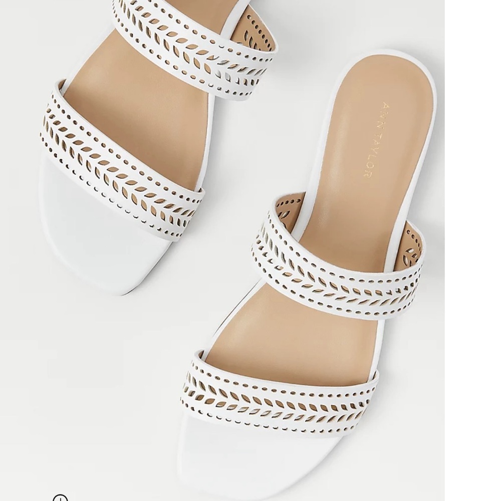 Ann Taylor Perforated Leather Slide Sandals NWT